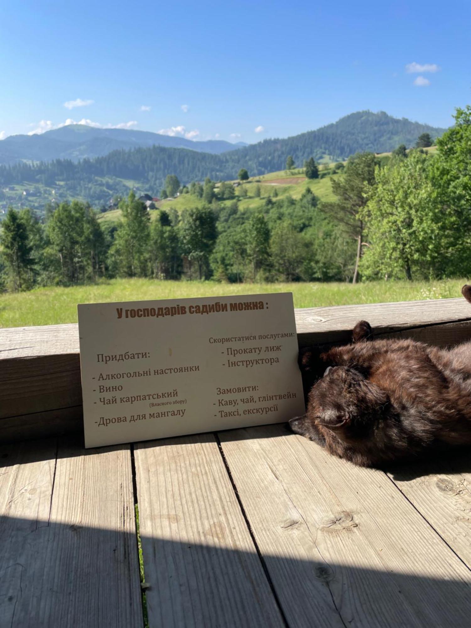 Appartamento Ecoxata Slavske Esterno foto